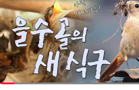 폰트 문의하기